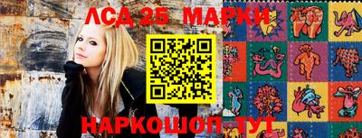 амф Можга