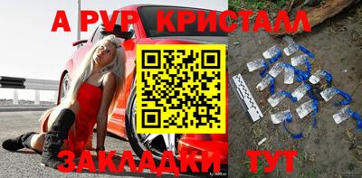 амф Можга