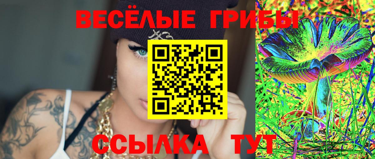 Альметьевск  Псилоцибиновые грибы MAGIC MUSHROOMS  Вход с VPN 